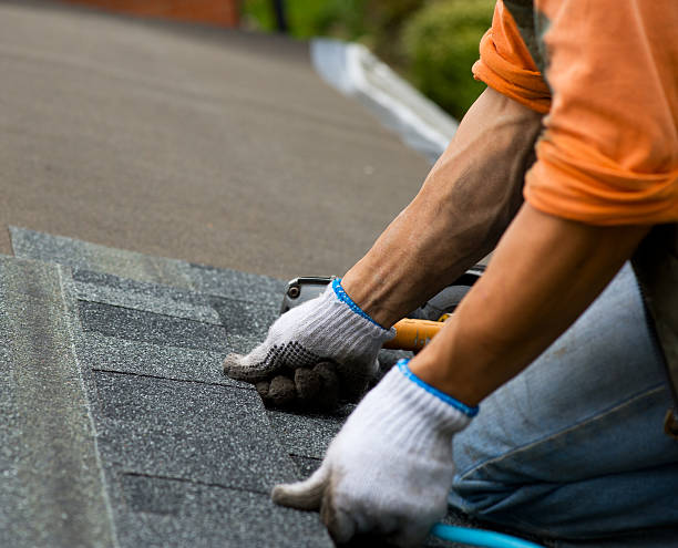 Best Roof Gutter Cleaning  in Starke, FL