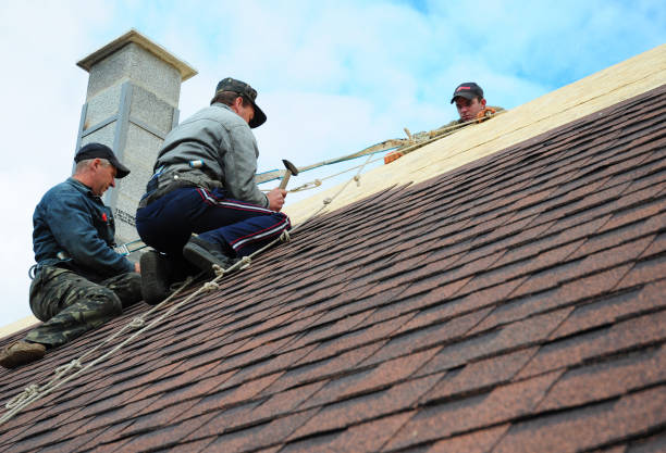 Best Storm Damage Roof Repair  in Starke, FL